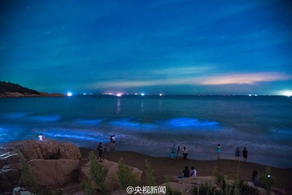 卡姆登市场